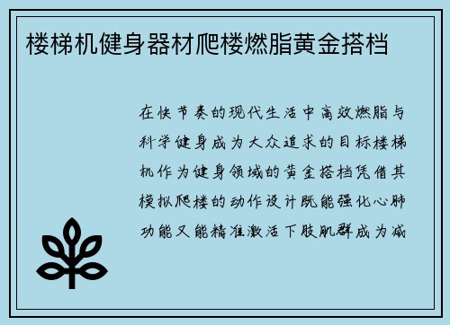 楼梯机健身器材爬楼燃脂黄金搭档
